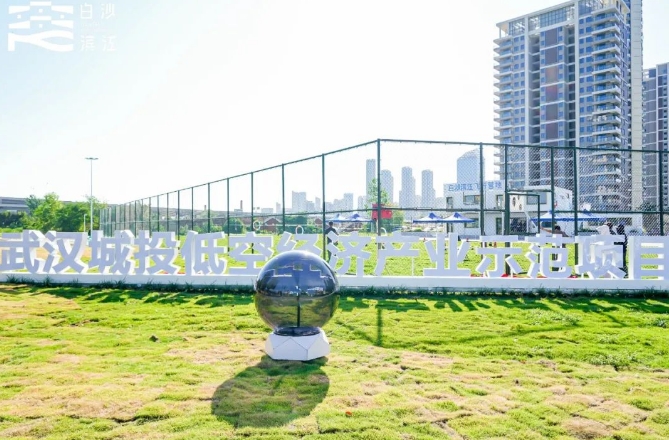 武汉城投集团 